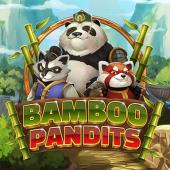 Bamboo Pandits logo