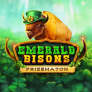 Emerald Bisons PrizeMatch logo